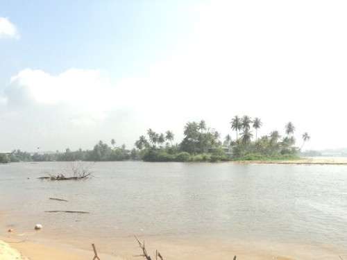 Fisherman’s Village Homestay Matara - Gallery - 33