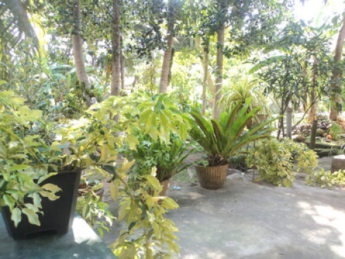 Fisherman’s Village Homestay Matara - Gallery - 9