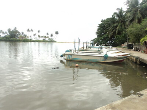 Fisherman’s Village Homestay Matara - Gallery - 38