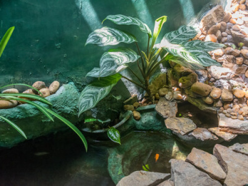 weligama Bay Eco Villa - Gallery - 15
