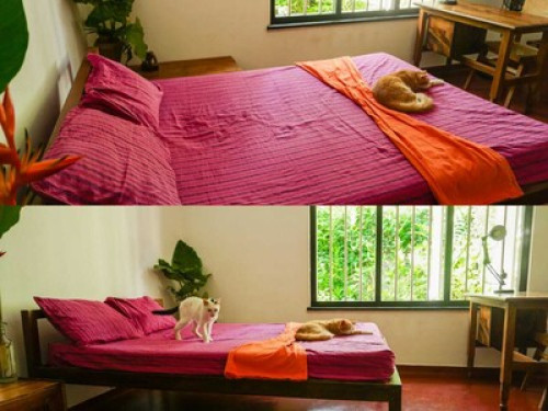 Sanasuma Ayurveda Homestay