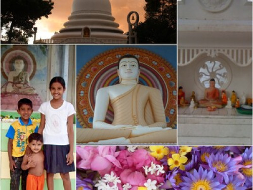 Sanasuma Ayurveda Homestay - Gallery - 18