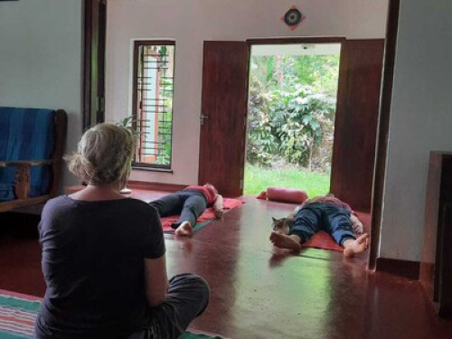 Sanasuma Ayurveda Homestay  - Gallery -  5