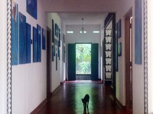Sanasuma Ayurveda Homestay - Gallery - 22