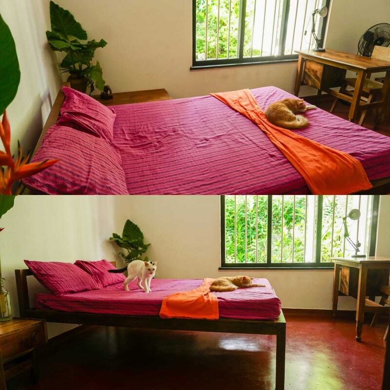  Red Bedroom(Full Room)  -  Sanasuma Ayurveda Homestay  - Gallery -  1