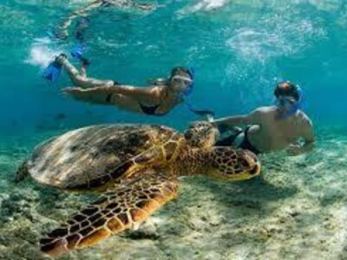 your home  abroad   - Gallery -  5