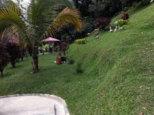 Ambiente familiar 