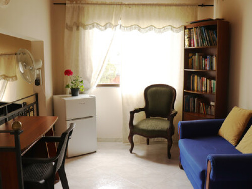 Friendly and hospitable family - Gallery - 30