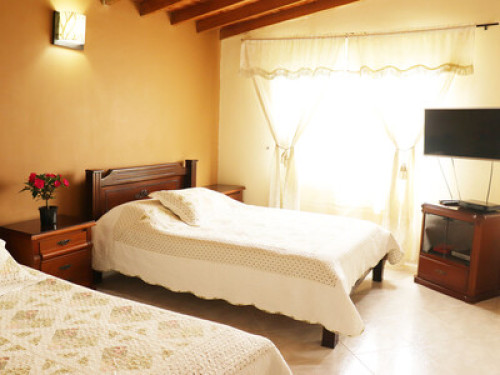 Friendly and hospitable family - Gallery - 18