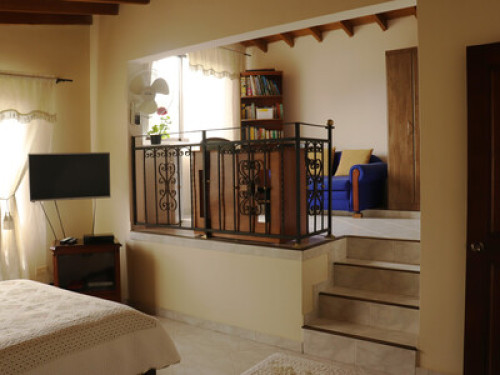 Friendly and hospitable family - Gallery - 29