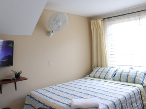 Friendly and hospitable family - Gallery - 49