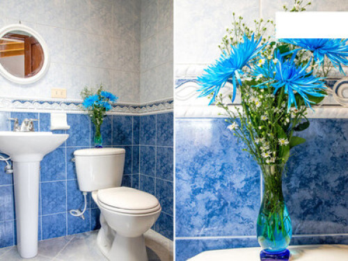 Friendly and hospitable family - Gallery - 36
