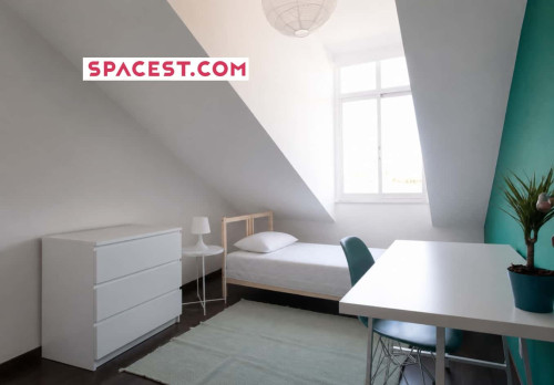 Single Room - FLAT X - X3 - Gallery - 8