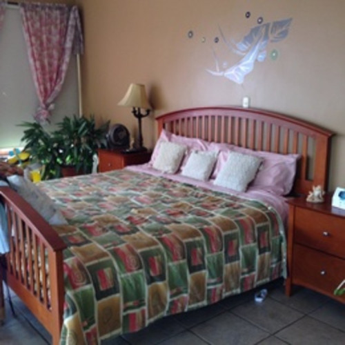 San Silvestre Ranch - Gallery - 14