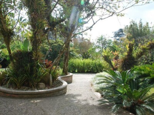 Tu hogar: San José - Gallery - 6
