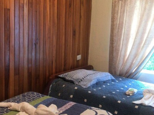 True Tico experience in a cozy home - Gallery - 6