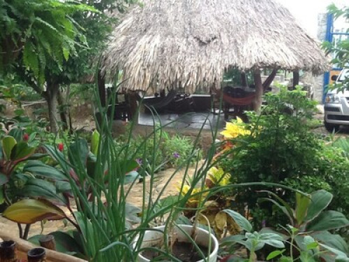 The yellow house by the sea