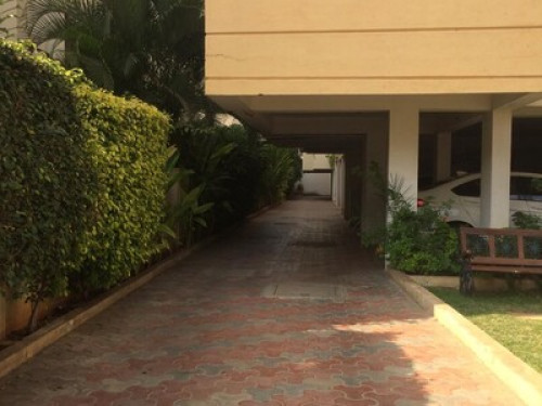 Homestay for Women & Senior Citizen - Gallery - 21