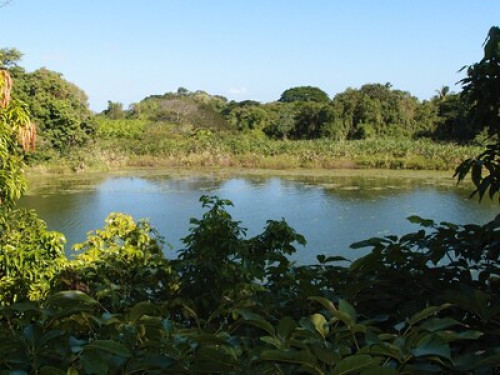 Casa Zopango at a Private Island! - Gallery - 31