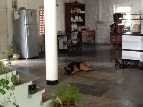 Your home by the sea