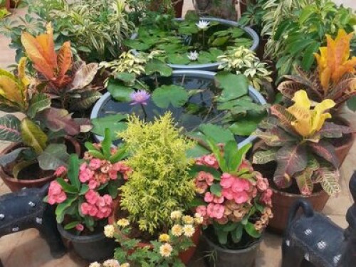 Kanakapura Road friendly host