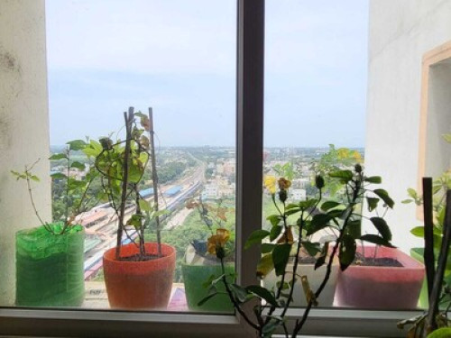 1Bedroom beautiful flat - Gallery - 8