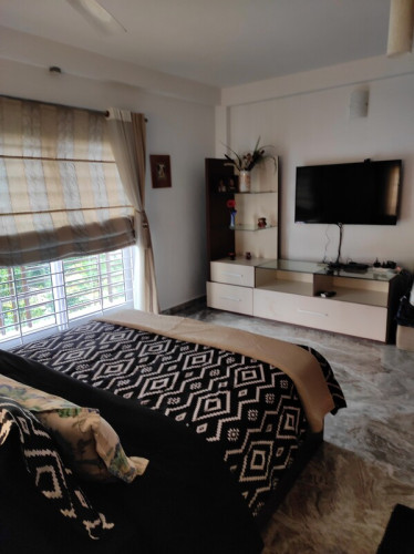 The Pod by the Beach - Gallery - 15