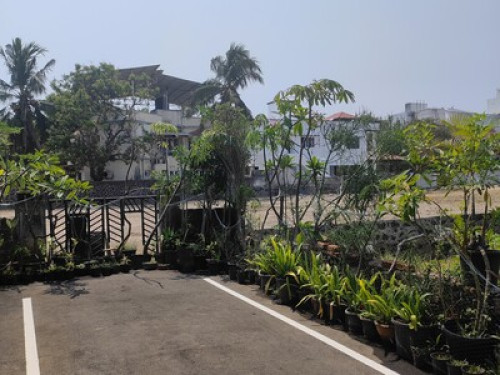 The Pod by the Beach