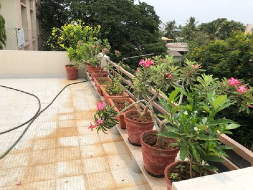 Stay with a Filmmaker!