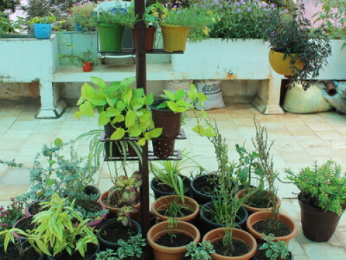 Friendly Home Stay at Chennai