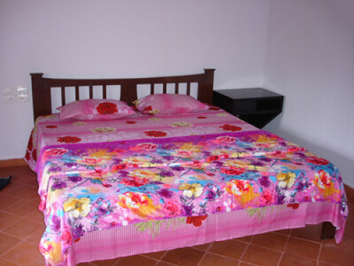 Home stay around wildlife