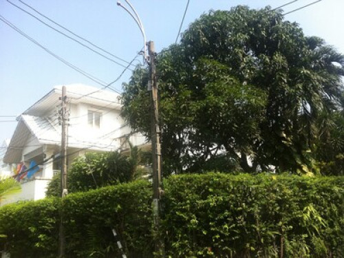 Cozy home in a lush garden