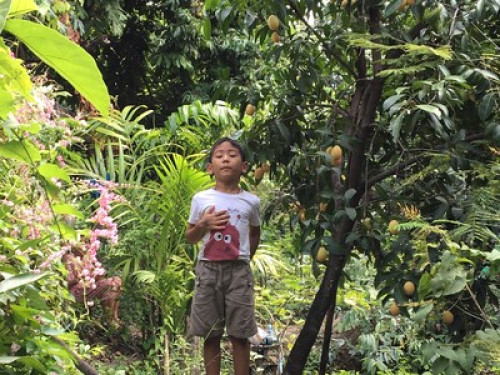A garden home in Bangkok 