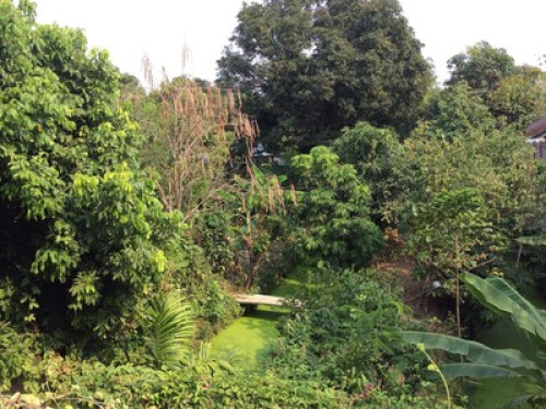A garden home in Bangkok  - Gallery - 40