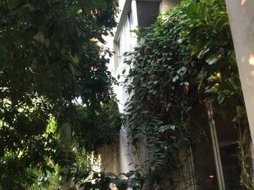 A garden home in Bangkok  - Gallery - 53