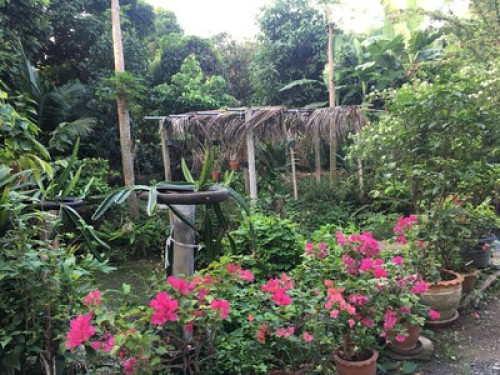 A garden home in Bangkok  - Gallery - 52