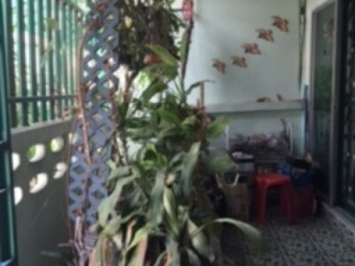 Clean, Warm and Safe is our heart.