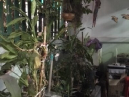 Clean, Warm and Safe is our heart.