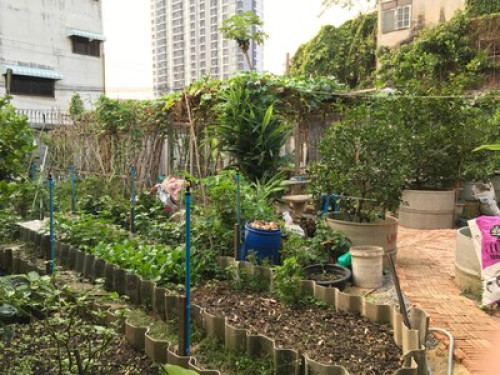 Baan Boon Homestay Near BTS - Gallery - 17