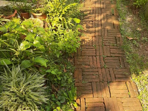 Baan Boon Homestay Near BTS  - Gallery -  5