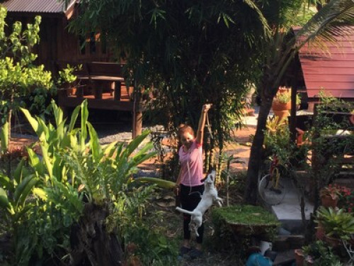 Gardenroom Hostel