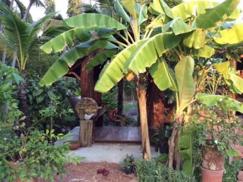 Gardenroom Hostel - Gallery - 30