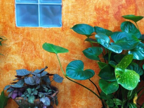 Gardenroom Hostel - Gallery - 29