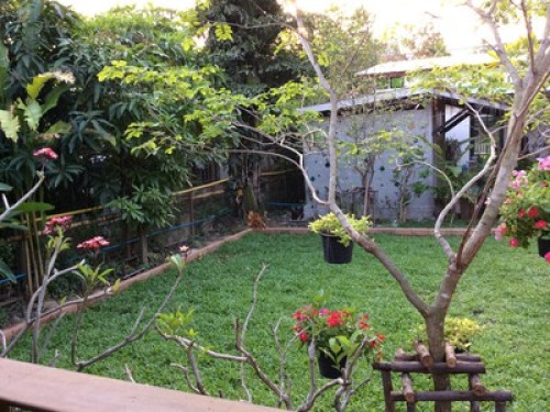 Gardenroom Hostel - Gallery - 26
