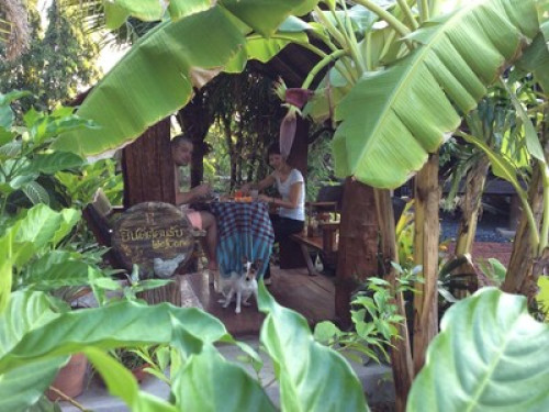 Gardenroom Hostel