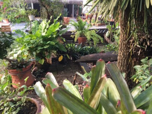 Gardenroom Hostel - Gallery - 14