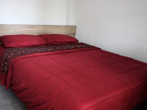 Gardenroom Hostel - Gallery - 18