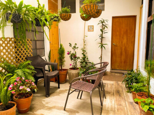 Family inn in zone 12