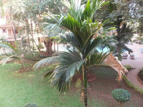 Convenient location, well equipped