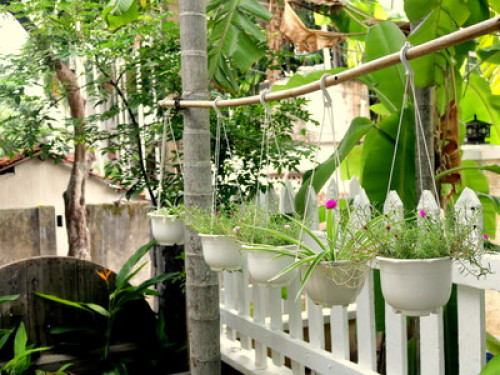 Friendly Jasmine Homestay  - Gallery - 24